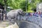 Visitors feeding and looking an elephant