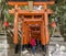 Visitors inside the famous Fushimi Inari Shrine in Kyoto, Japan