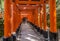 Visitors inside the famous Fushimi Inari Shrine in Kyoto, Japan