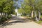 Visitors on a tour of the Avenue of The Righteous at the Yad Vashem holocaust memorial in the city of Jerusalem ISRAEL