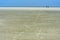 Visitors walking across the mudflats