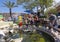 Visitors watching turtles pond Marineland