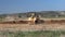 Vislock river, Poland - may 2, 2018:A dump truck is loaded with soil. Land works in the quarry of river gravel. Extraction of natu