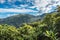 Vista of the El Yunque rainforest with tropical vegetation and m