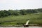 Vista of an empty pier and walkway at the Russell W. Peterson Urban Wildlife Refuge in Wilmington, Delaware