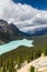 Vista over Peyto Lake