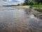 Vistula river wild banks near the city of Warsaw