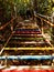 visual feast of stairs and trees in izmir