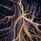 visualization of neural connections in the brain, unveiling a complex web of interwoven neurons that highlights the intricacy of