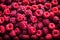 A visually stunning background featuring a close-up arrangement of fresh, sweet red raspberries. The berries are meticulously