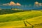 Vitaleta chapel on the hill near Pienza, Tuscany, Italy, Europe