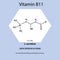 Vitamin B11. L-carnitine Molecular chemical formula. Useful properties of vitamin. Infographics. Vector illustration on