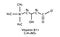 Vitamin B11 L-carnitine molecular structure. Vitamin B11 L-carnitine skeletal chemical formula. Chemical molecular
