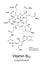 Vitamin B12, cobalamin, chemical structure