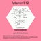 Vitamin B12. cyanocobalamin Molecular chemical formula. Useful properties of vitamin. Infographics. Vector illustration