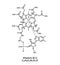 Vitamin B12 Cyanocobalamin molecular structure. Vitamin B12 Cyanocobalamin skeletal chemical formula. Chemical molecular