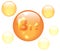 Vitamin B12 shining pill capcule icon . Vitamin complex with Chemical formula, group B, Cyanocobalamin, hydroxocobalamin. Vector i