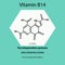 Vitamin B14. Pyrroloquinoline quinone Molecular chemical formula. Useful properties of vitamin. Infographics. Vector