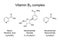 Vitamin B3 complex nicotinamide niacin and nicotinamide riboside chemical formulas