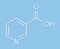 Vitamin B3 niacin molecule. Skeletal formula.