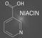 Vitamin B3 or niacin molecule. Skeletal formula.