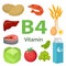 Vitamin B4 nutrition infographic with medical and food icons diet, healthy food and wellbeing concept