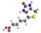 Vitamin B7 molecule