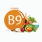 Vitamin B9 folate. Natural organic foods with high vitamin content