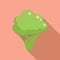 Vitamin brocoli icon flat vector. Broccoli cabbage