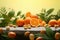 Vitamin C pill with citrus fruits on marble table against naturally blurred background with green leaves. Medical