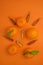 Vitamin C . Tangerines fruits, vitamin C in glass ampoules on a orange background.ampoules and Serum with Vitamin C.