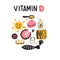 Vitamin D sources. Hand drawn circle illustration of different food rich of vitamin d. Vector.