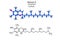 Vitamin E molecular structure. Tocopherol skeletal formula. Scientific background. Vector illustration. Stock image.