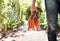 VItamin A Essential to great health. A mature person walking along a garden path holding carrots and beetroots.