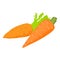 Vitamin food icon isometric vector. Ripe organic freshly harvested carrot icon