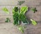 Vitamin K in food concept. Plate in the shape of the letter K with different fresh leafy green vegetables. Some lettuce and