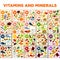 Vitamins and minerals big spreadsheet with colorful illustrations