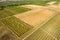 Viticulture and grain fields in Rheinhessen / Germany