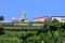 Viticulture near Cembra in the Dolomites of Italy