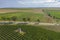 Viticulture in Rheinhessen / Germany from above