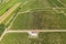 Viticulture in Rheinhessen / Germany from above