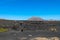 Viticulture in volcanic terrain on the island of Lanzarote near Timanfaya National Park. Canary Islands, Spain, Europe.