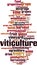 Viticulture word cloud