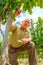 Viticulturist in vineyard looking at grape clusters