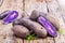 Vitolette noir or purple potato. On a wooden table.