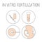 In vitro fertilization icon set. Linear simple illustration pregnancy and fertility. IVF fertilization signs. Vector