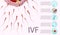 In Vitro Fertilization Informational List, Banner