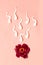 In vitro fertilization. Medical concept of artificial insemination. Red peony flower with plastic sperm forms