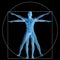 Vitruvian human or man conceptual 3d proportion anatomy body