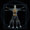 Vitruvian man